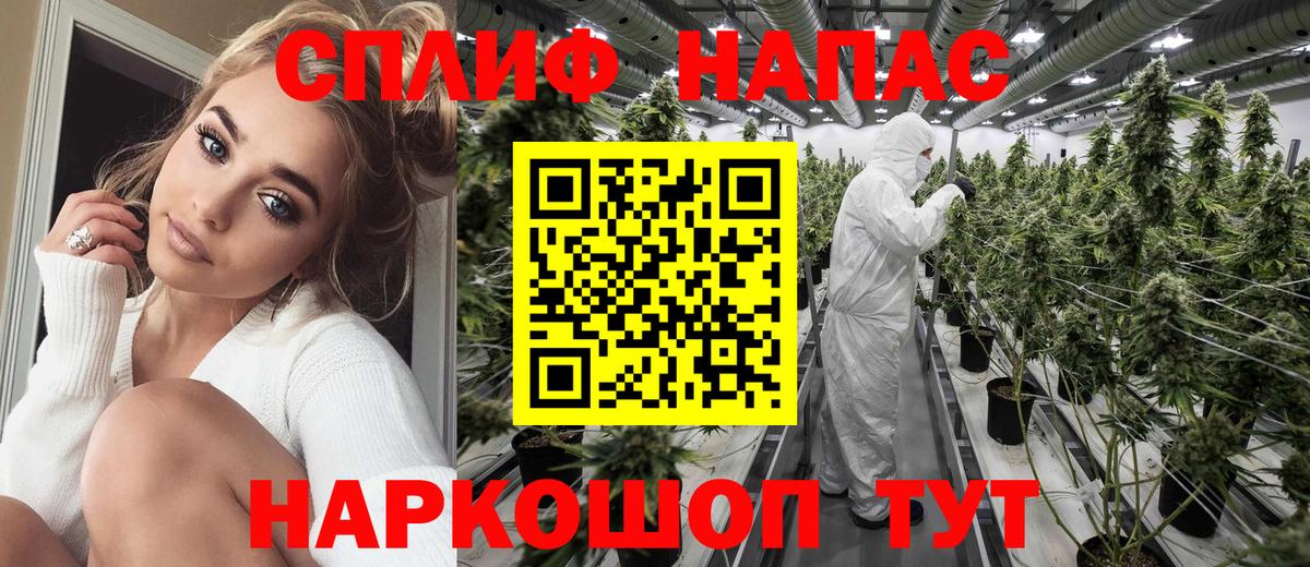 Саратов  МАРИХУАНА планчик  Бошки марихуана ГИДРОПОН  Бошки Шишки гибрид  Вход с VPN 